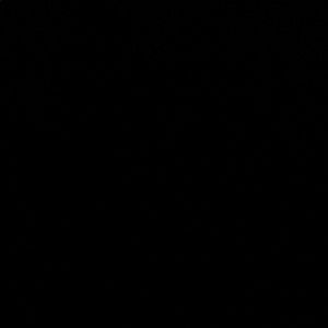 Meet your Posher, Gloria